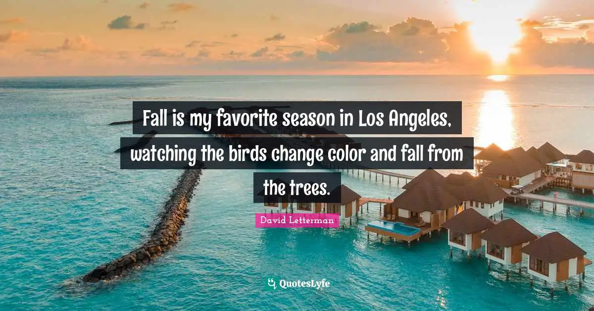 Fall is my favorite season in Los Angeles, watching the birds change color and fall from the trees.