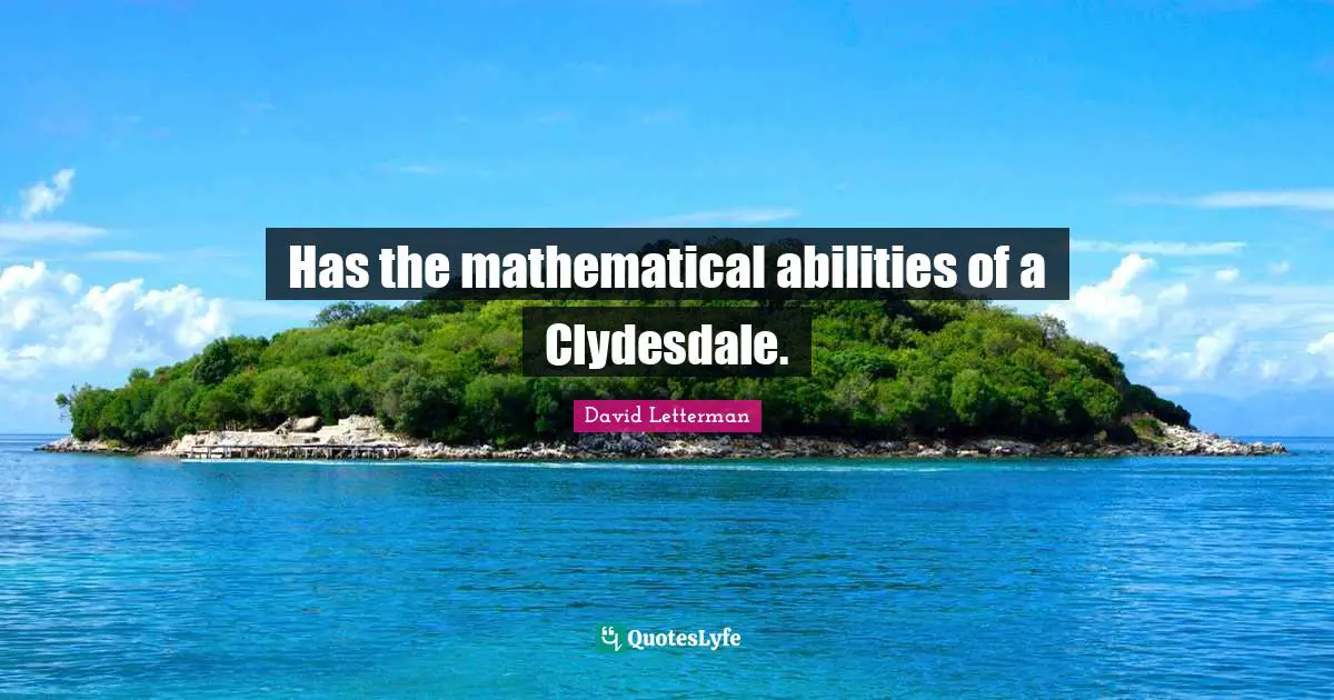 Has the mathematical abilities of a Clydesdale.