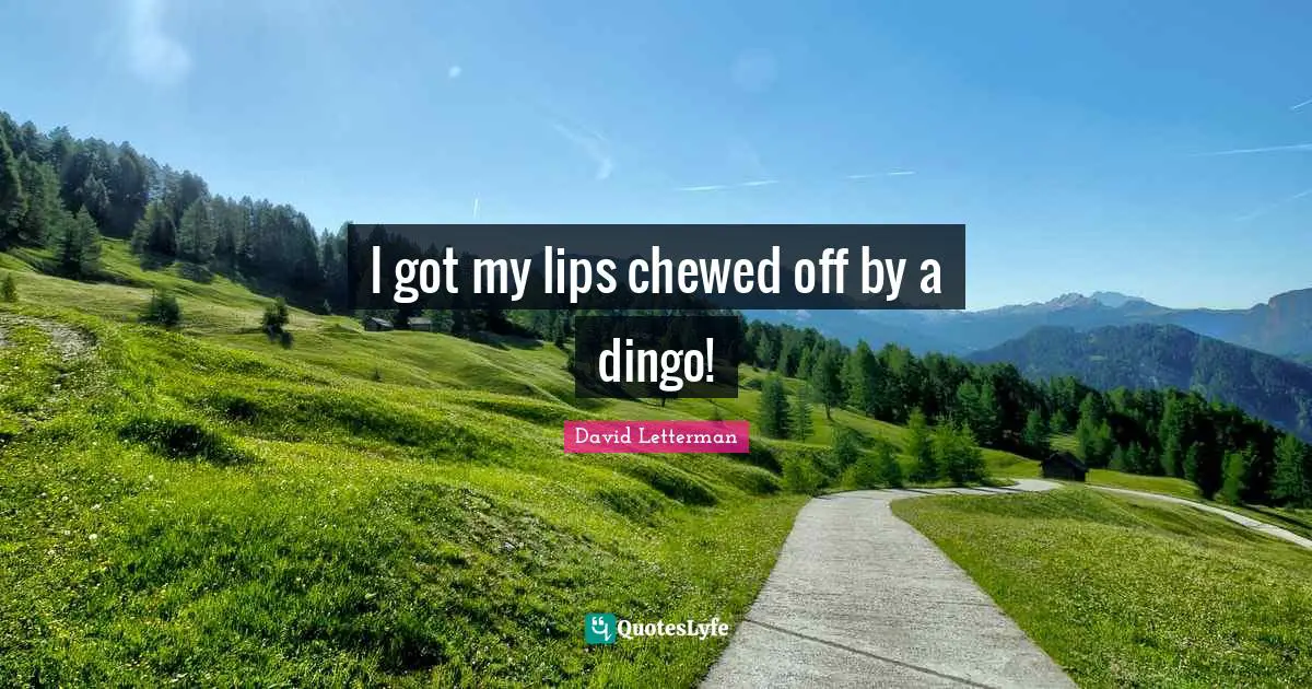 I got my lips chewed off by a dingo!