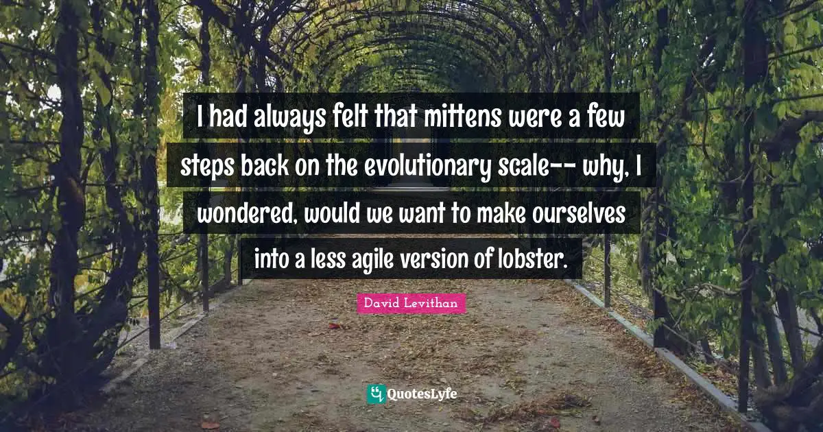 I had always felt that mittens were a few steps back on the evolutionary scale-- why, I wondered, would we want to make ourselves into a less agile version of lobster.