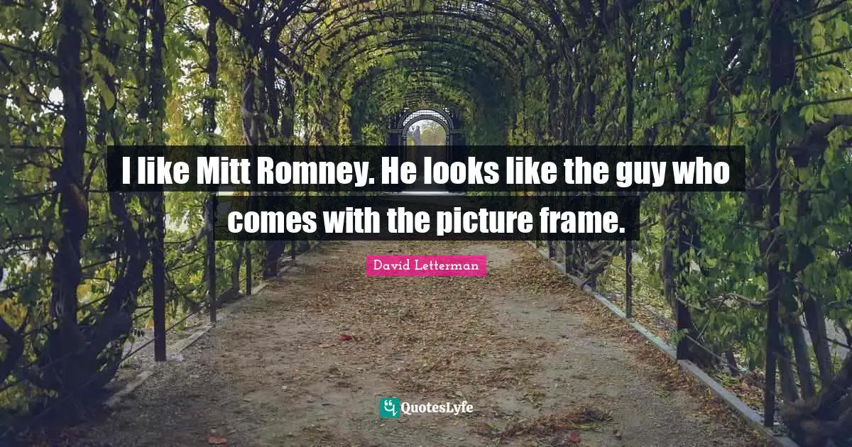 I like Mitt Romney. He looks like the guy who comes with the picture frame.