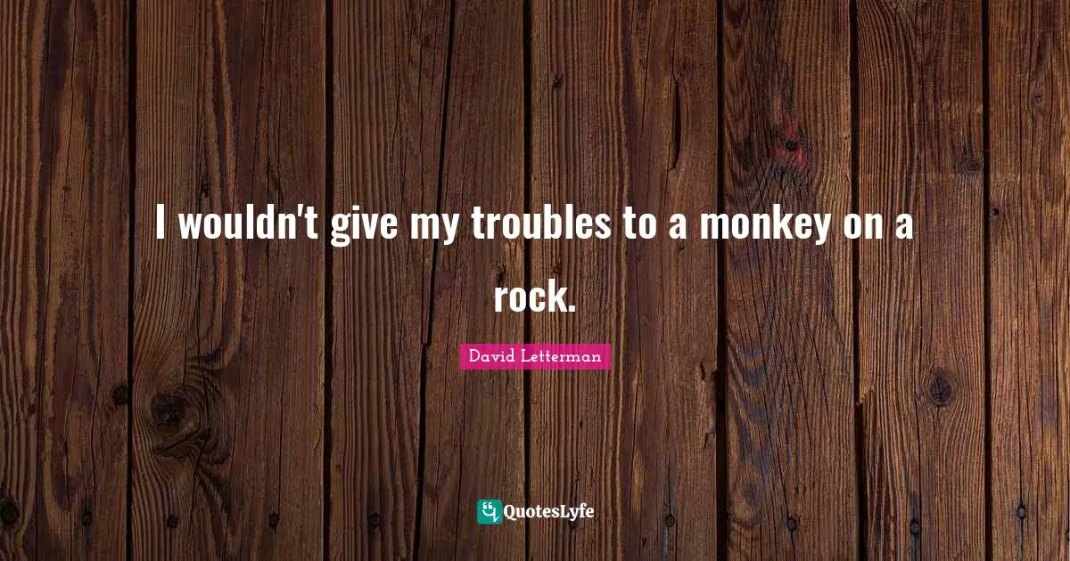 I wouldn't give my troubles to a monkey on a rock.