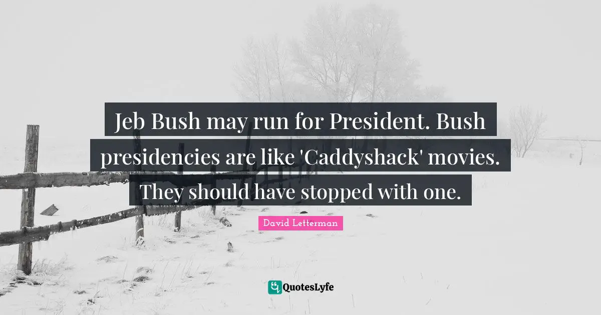 Jeb Bush may run for President. Bush presidencies are like 'Caddyshack' movies. They should have stopped with one.