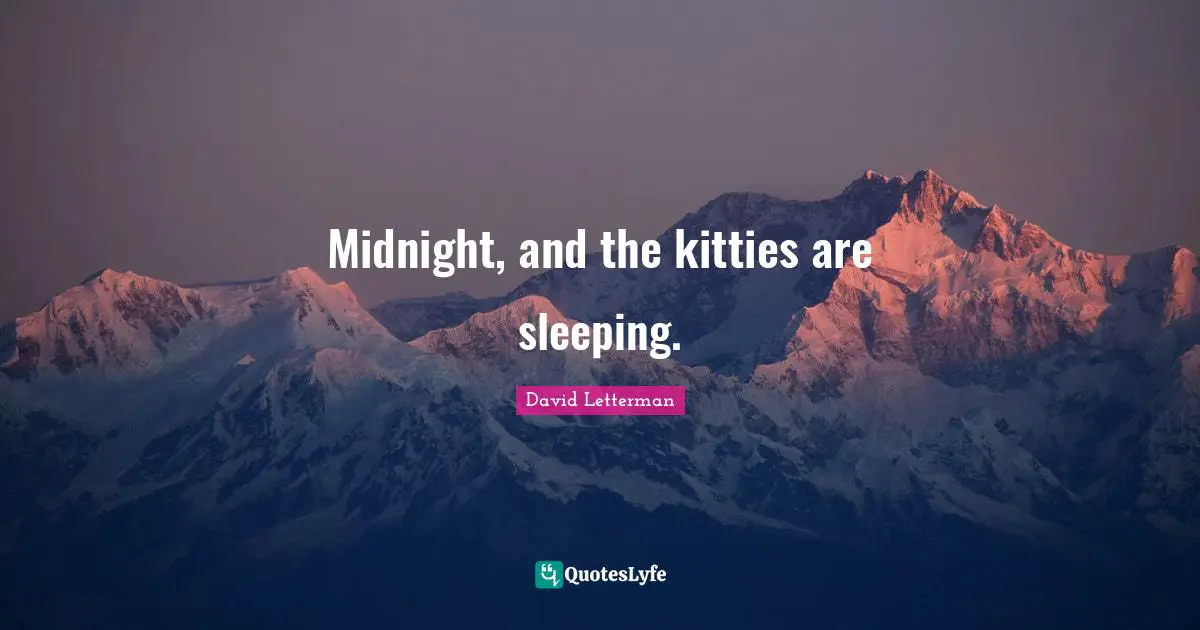 Midnight, and the kitties are sleeping.