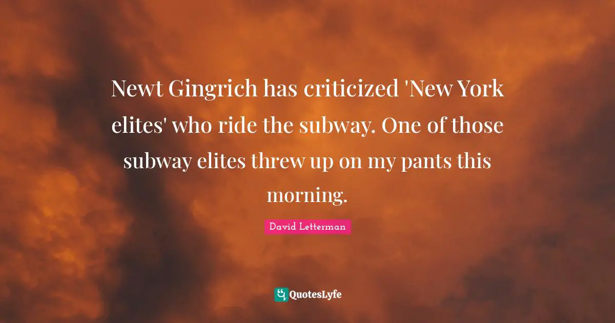 Newt Gingrich has criticized 'New York elites' who ride the subway. One of those subway elites threw up on my pants this morning.