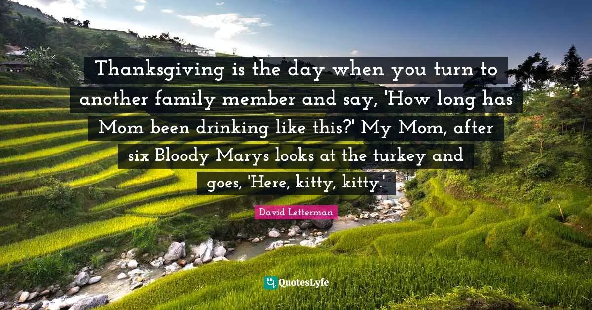 Thanksgiving is the day when you turn to another family member and say, 'How long has Mom been drinking like this?' My Mom, after six Bloody Marys looks at the turkey and goes, 'Here, kitty, kitty.'