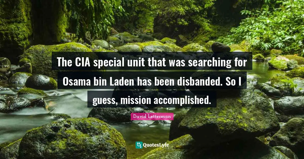 Cia Quotes: "The CIA special unit that was searching for Osama bin Laden has been disbanded. So I guess, mission accomplished."