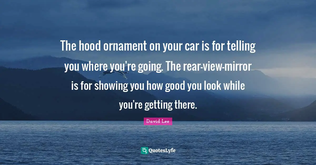 The hood ornament on your car is for telling you where you're going. The rear-view-mirror is for showing you how good you look while you're getting there.