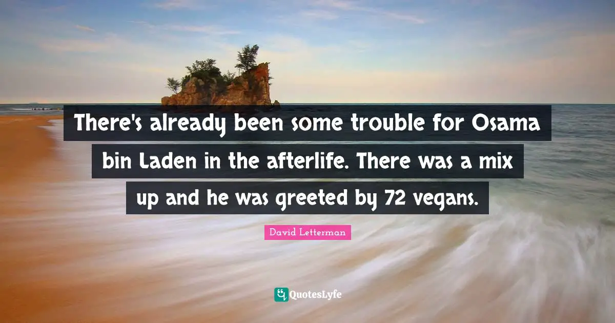 There's already been some trouble for Osama bin Laden in the afterlife. There was a mix up and he was greeted by 72 vegans.