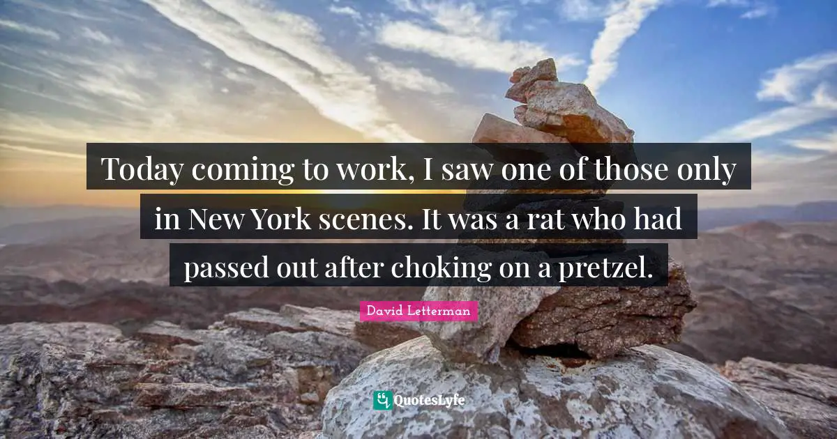Today coming to work, I saw one of those only in New York scenes. It was a rat who had passed out after choking on a pretzel.