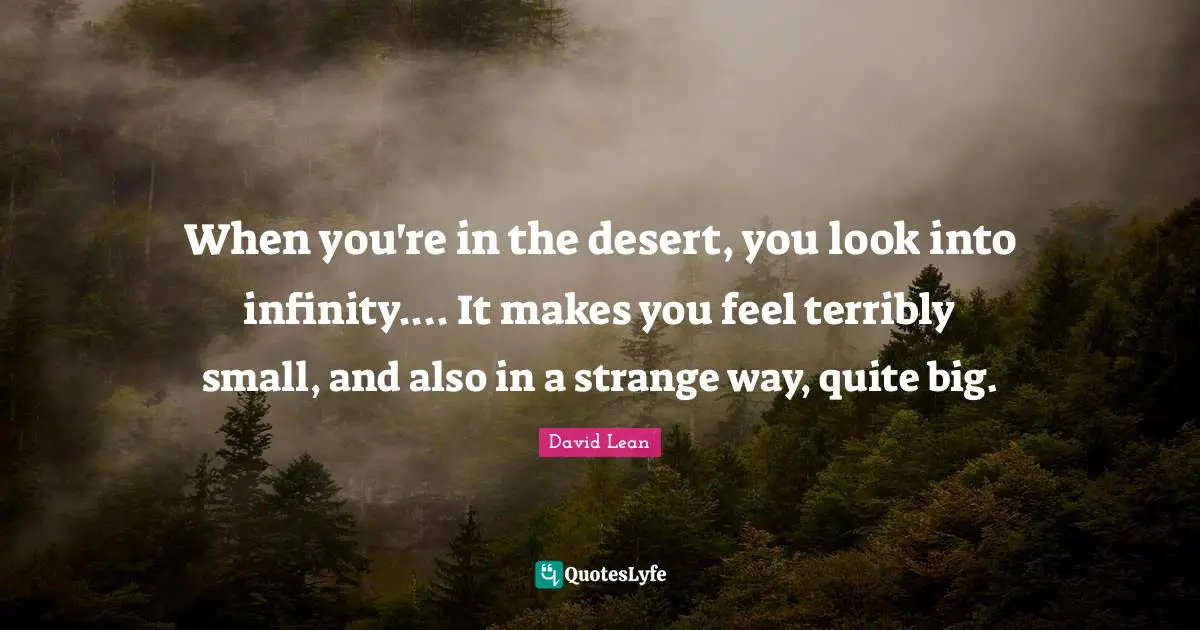 When you're in the desert, you look into infinity.... It makes you feel terribly small, and also in a strange way, quite big.