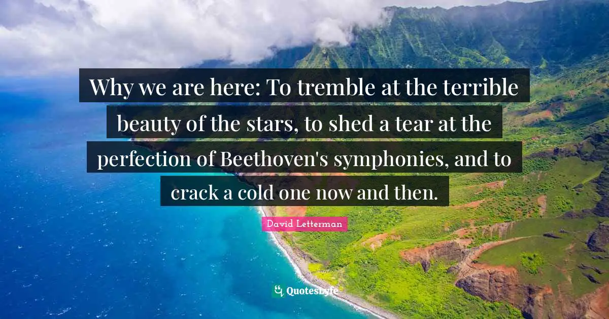 Why we are here: To tremble at the terrible beauty of the stars, to shed a tear at the perfection of Beethoven's symphonies, and to crack a cold one now and then.