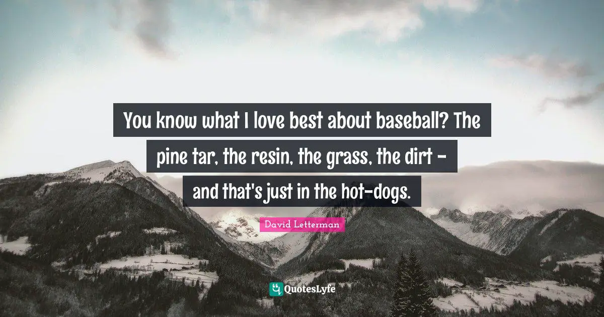You know what I love best about baseball? The pine tar, the resin, the grass, the dirt - and that's just in the hot-dogs.
