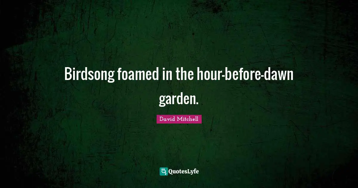 Birdsong foamed in the hour-before-dawn garden.