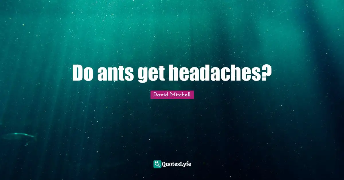 Do ants get headaches?