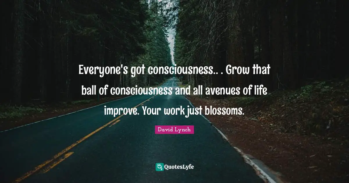 David Lynch Quotes: "Everyone's got consciousness.. . Grow that ball of consciousness and all avenues of life improve. Your work just blossoms."