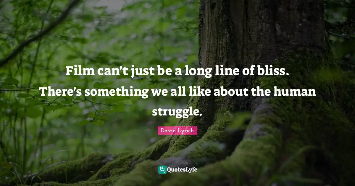 Film can't just be a long line of bliss. There's something we all like about the human struggle.