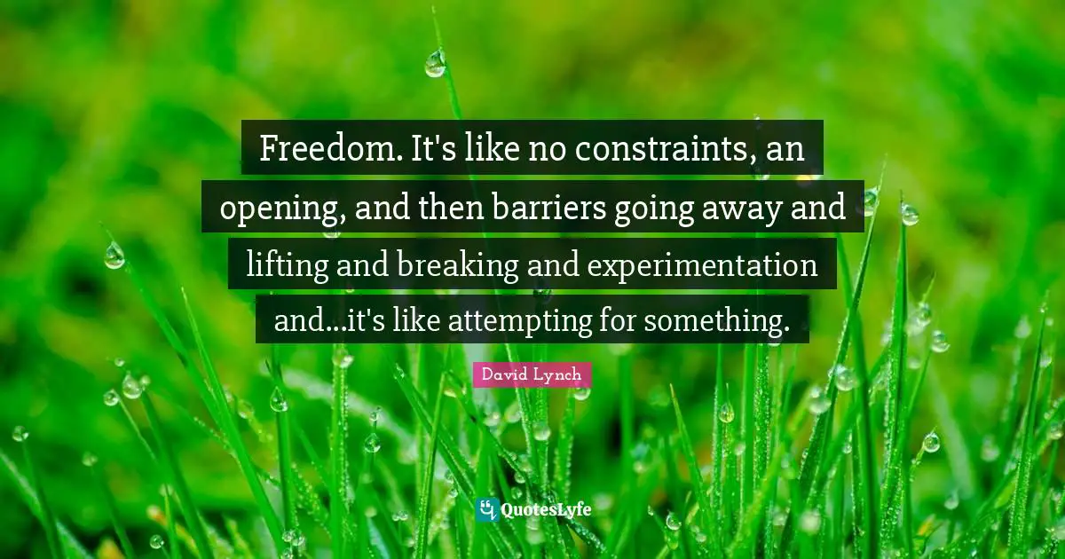 Freedom. It's like no constraints, an opening, and then barriers going away and lifting and breaking and experimentation and...it's like attempting for something.