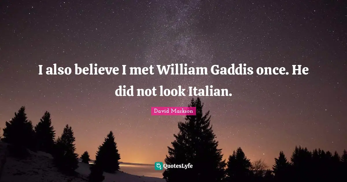 I also believe I met William Gaddis once. He did not look Italian.