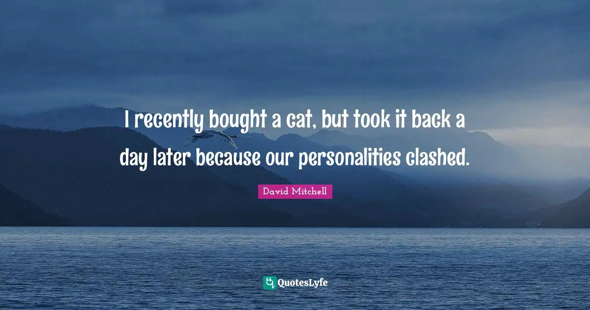 I recently bought a cat, but took it back a day later because our personalities clashed.