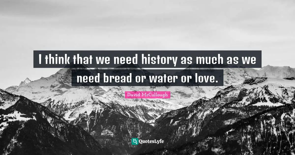 I think that we need history as much as we need bread or water or love.