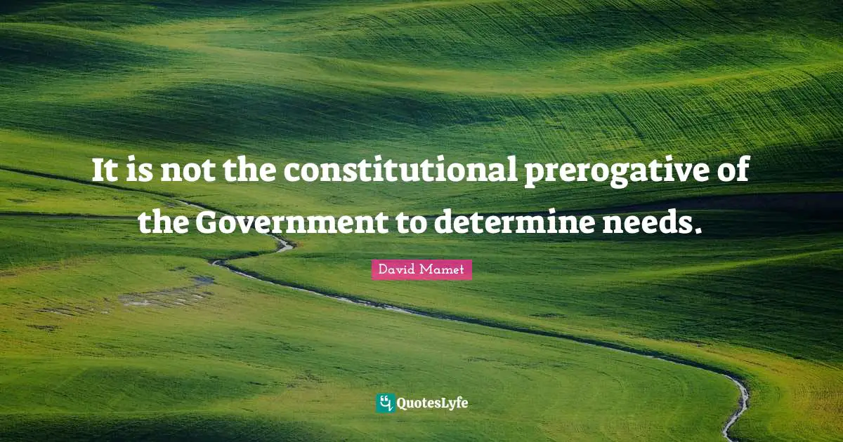 It is not the constitutional prerogative of the Government to determine needs.