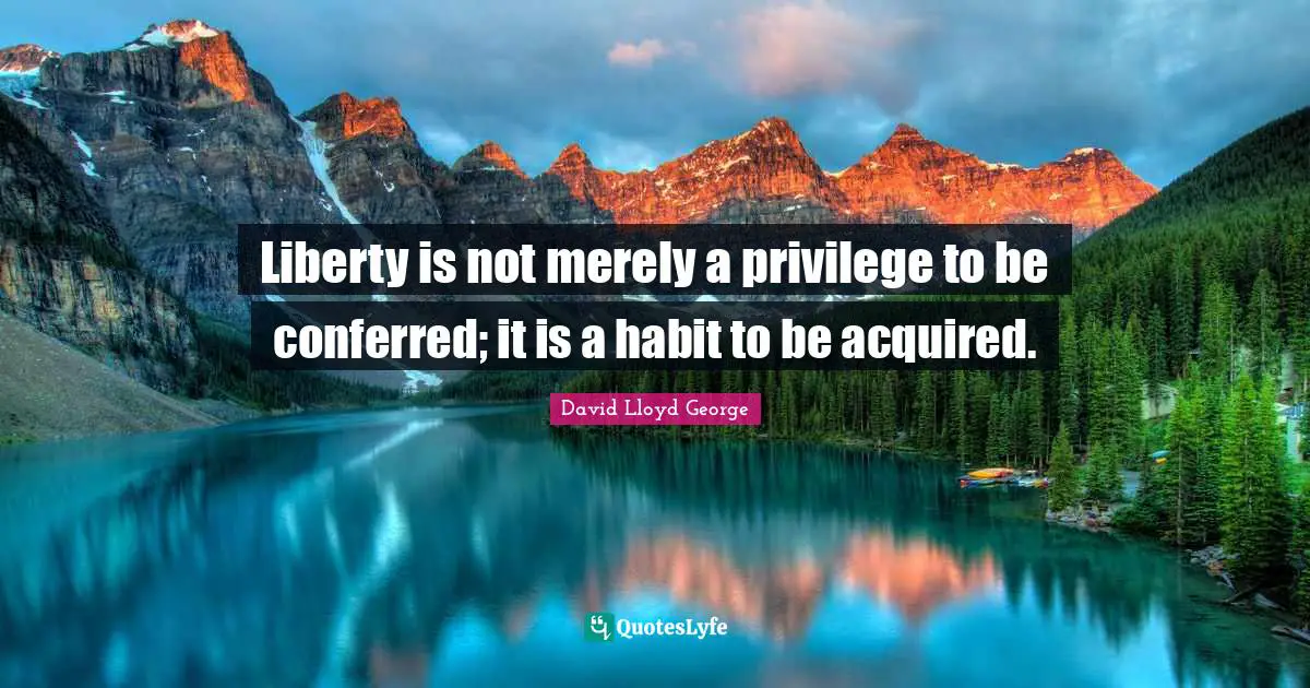 Liberty is not merely a privilege to be conferred; it is a habit to be acquired.