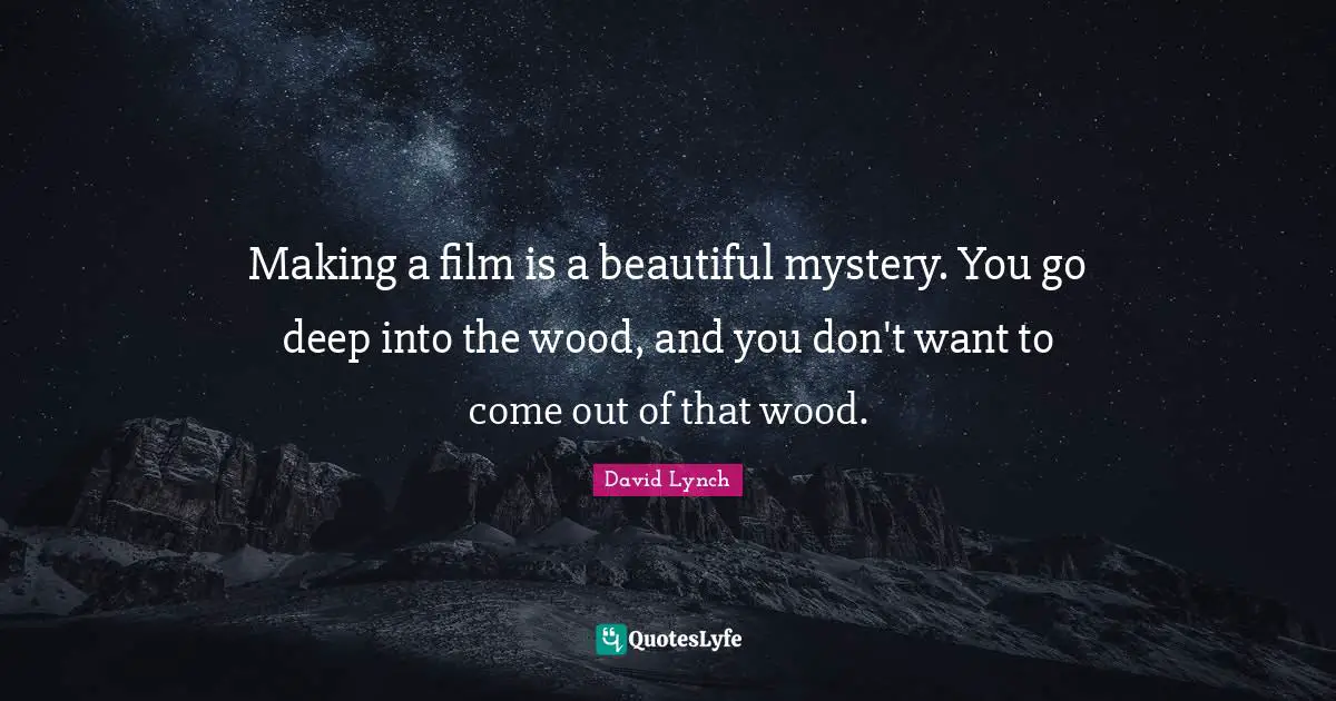 Making a film is a beautiful mystery. You go deep into the wood, and you don't want to come out of that wood.