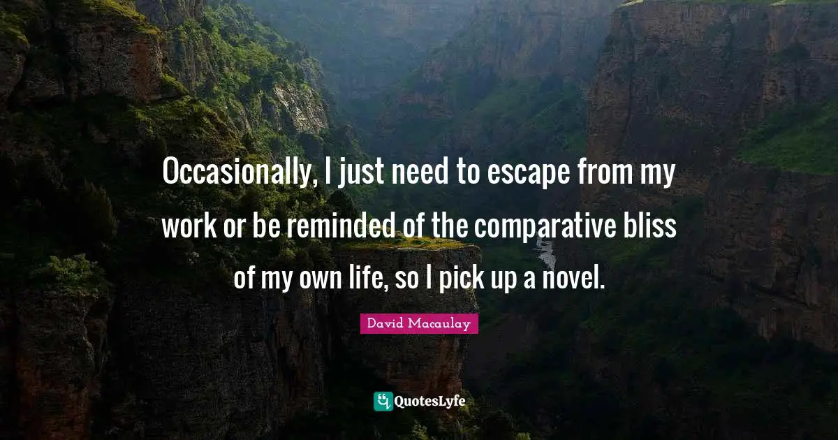 Occasionally, I just need to escape from my work or be reminded of the comparative bliss of my own life, so I pick up a novel.