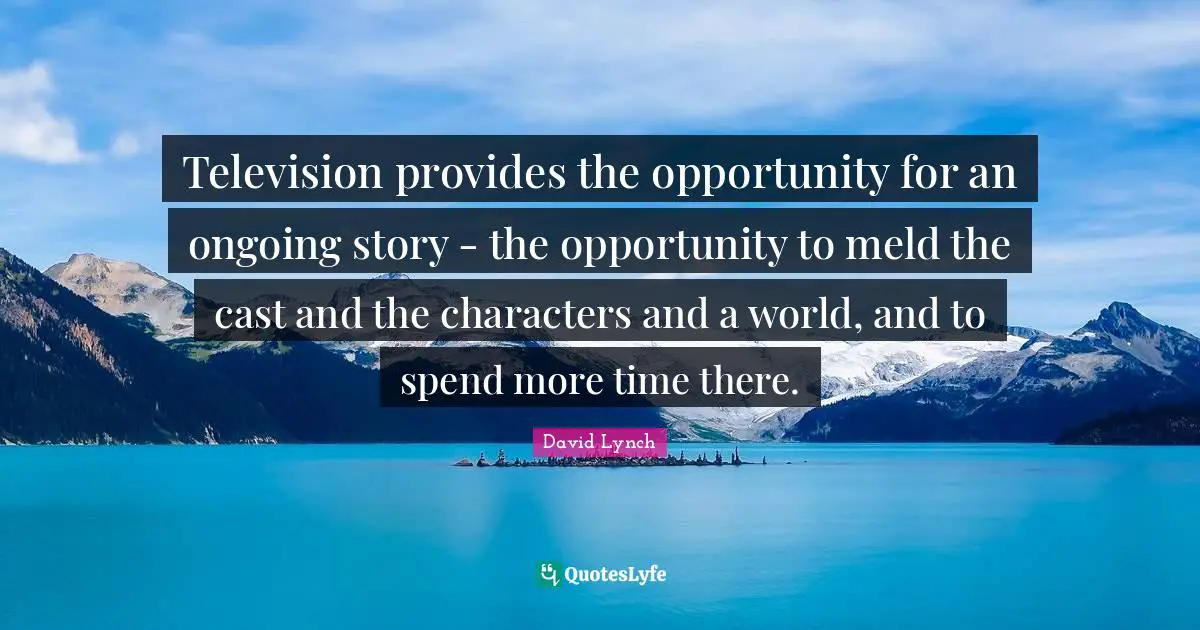 Television provides the opportunity for an ongoing story - the opportunity to meld the cast and the characters and a world, and to spend more time there.