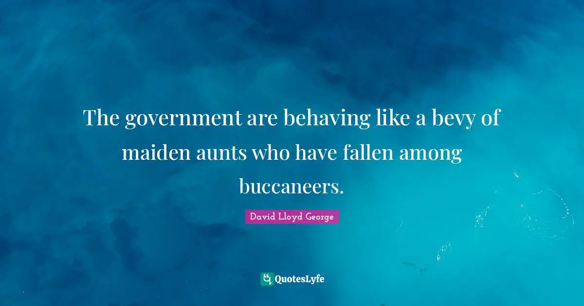 The government are behaving like a bevy of maiden aunts who have fallen among buccaneers.