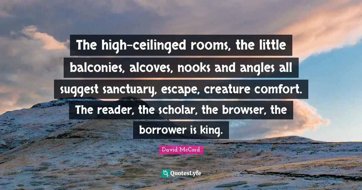 The high-ceilinged rooms, the little balconies, alcoves, nooks and angles all suggest sanctuary, escape, creature comfort. The reader, the scholar, the browser, the borrower is king.