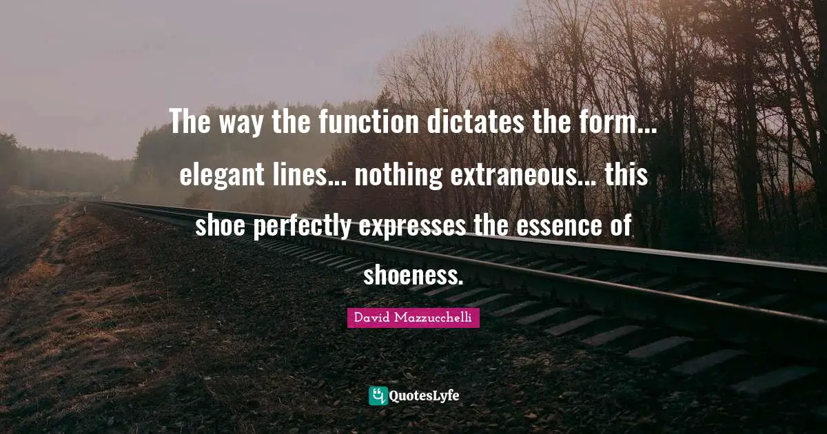 The way the function dictates the form... elegant lines... nothing extraneous... this shoe perfectly expresses the essence of shoeness.