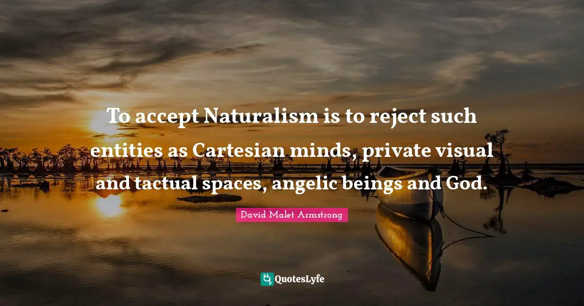 To accept Naturalism is to reject such entities as Cartesian minds, private visual and tactual spaces, angelic beings and God.