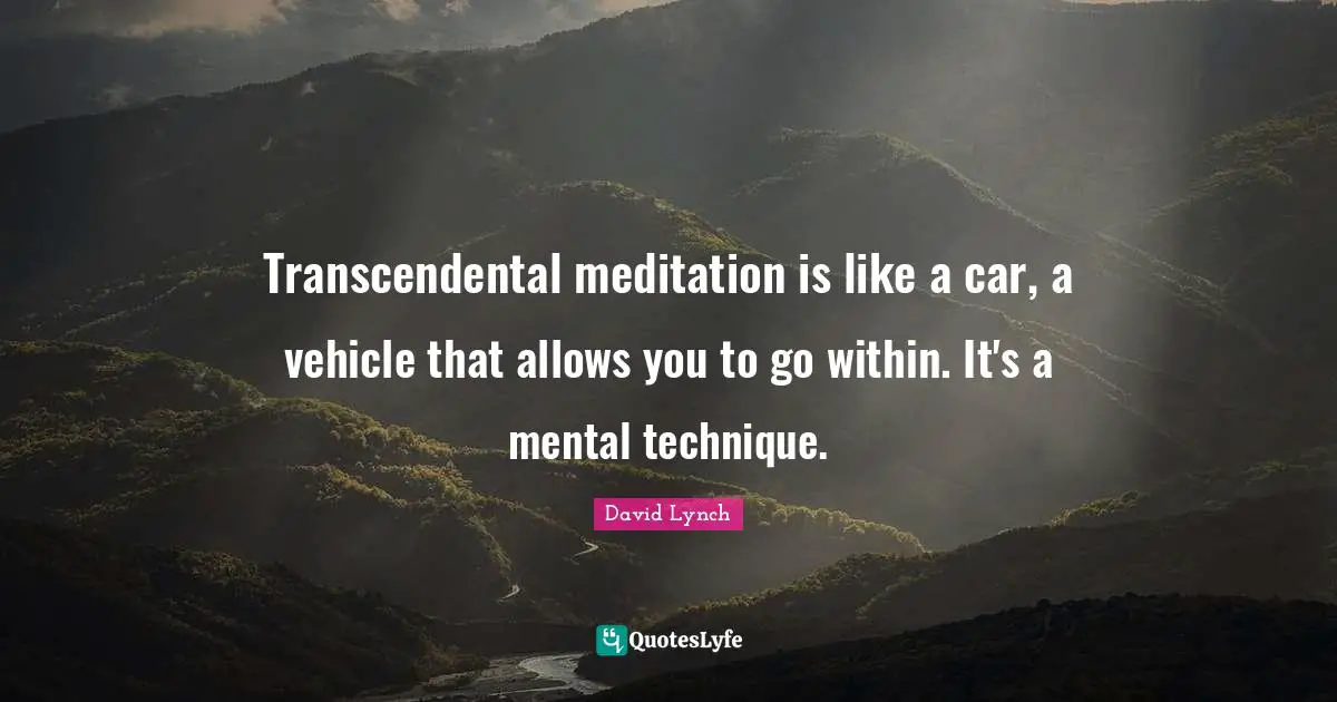 Transcendental meditation is like a car, a vehicle that allows you to go within. It's a mental technique.