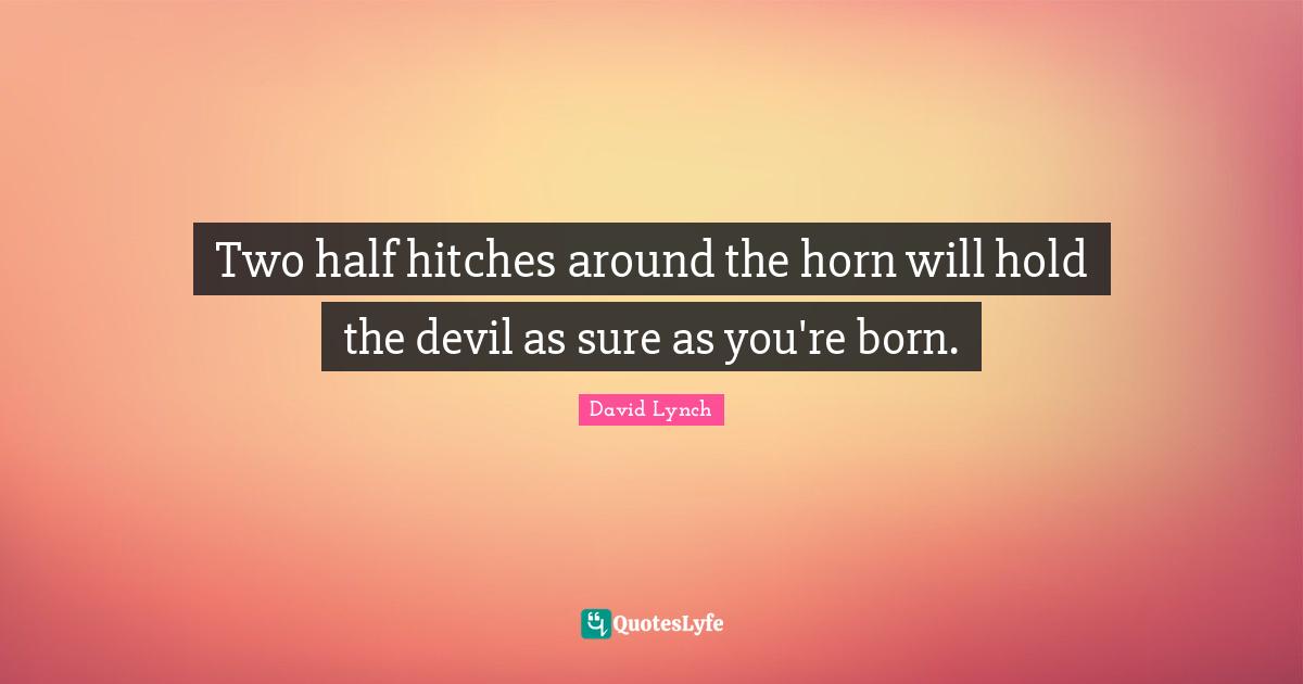 Two half hitches around the horn will hold the devil as sure as you're born.