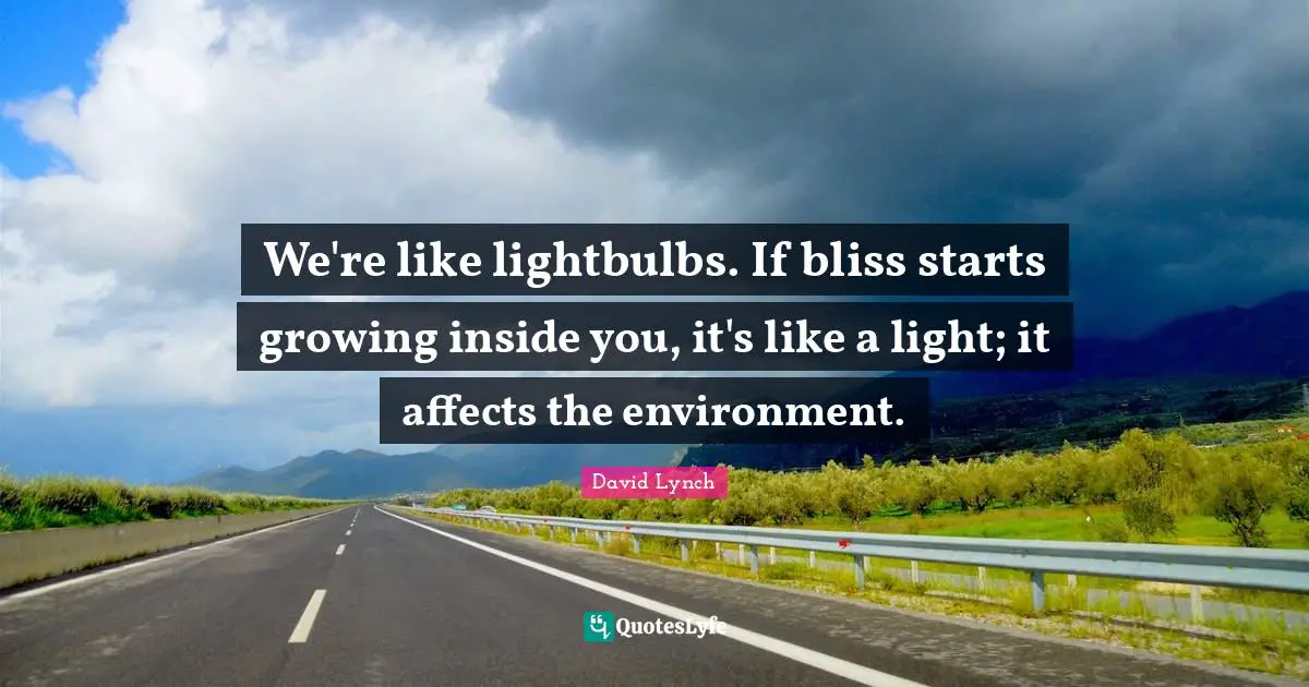 We're like lightbulbs. If bliss starts growing inside you, it's like a light; it affects the environment.