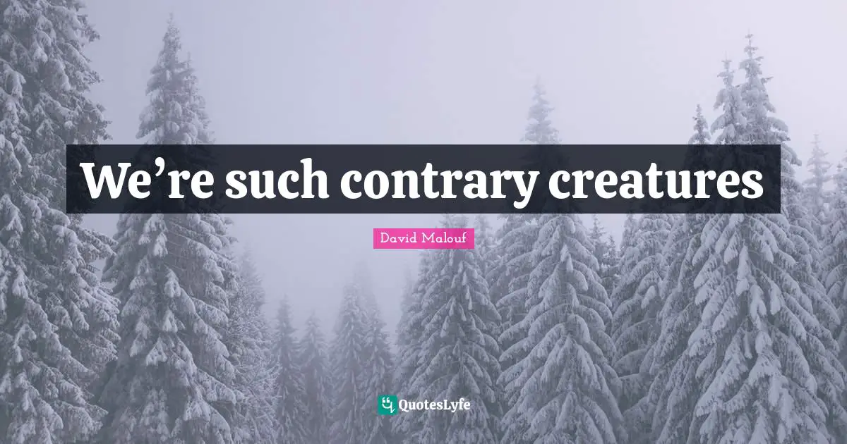 We’re such contrary creatures