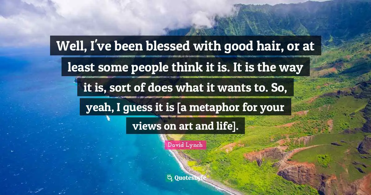 Well, I've been blessed with good hair, or at least some people think it is. It is the way it is, sort of does what it wants to. So, yeah, I guess it is [a metaphor for your views on art and life].