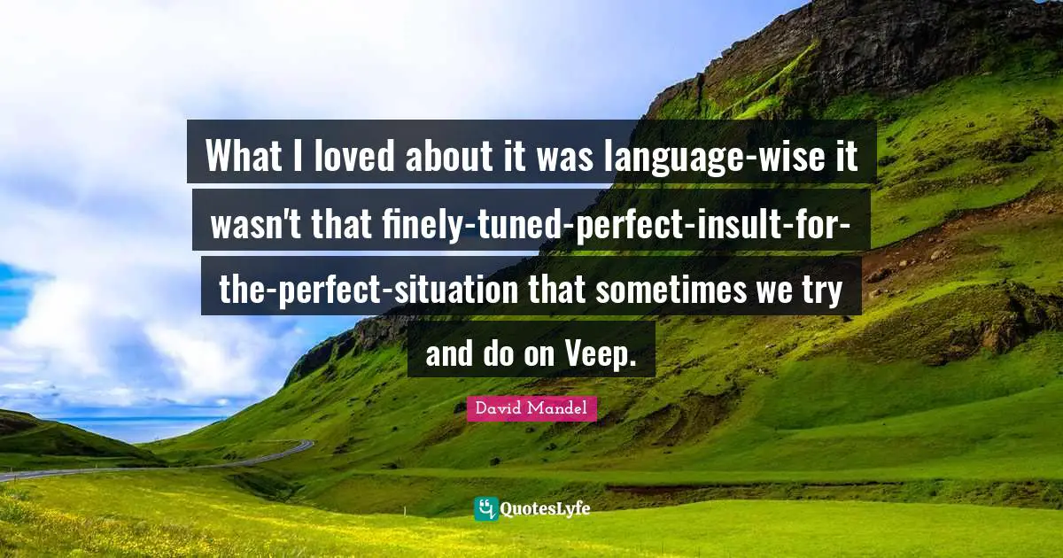 What I loved about it was language-wise it wasn't that finely-tuned-perfect-insult-for-the-perfect-situation that sometimes we try and do on Veep.