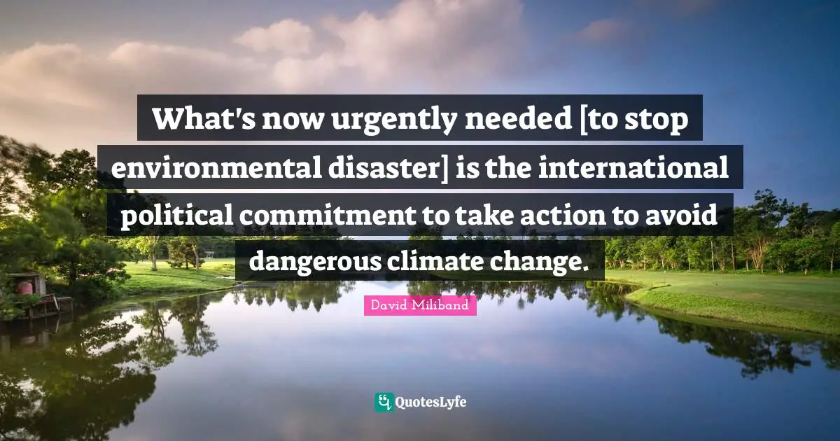 Ed Miliband Quotes: "What's now urgently needed [to stop environmental disaster] is the international political commitment to take action to avoid dangerous climate change."