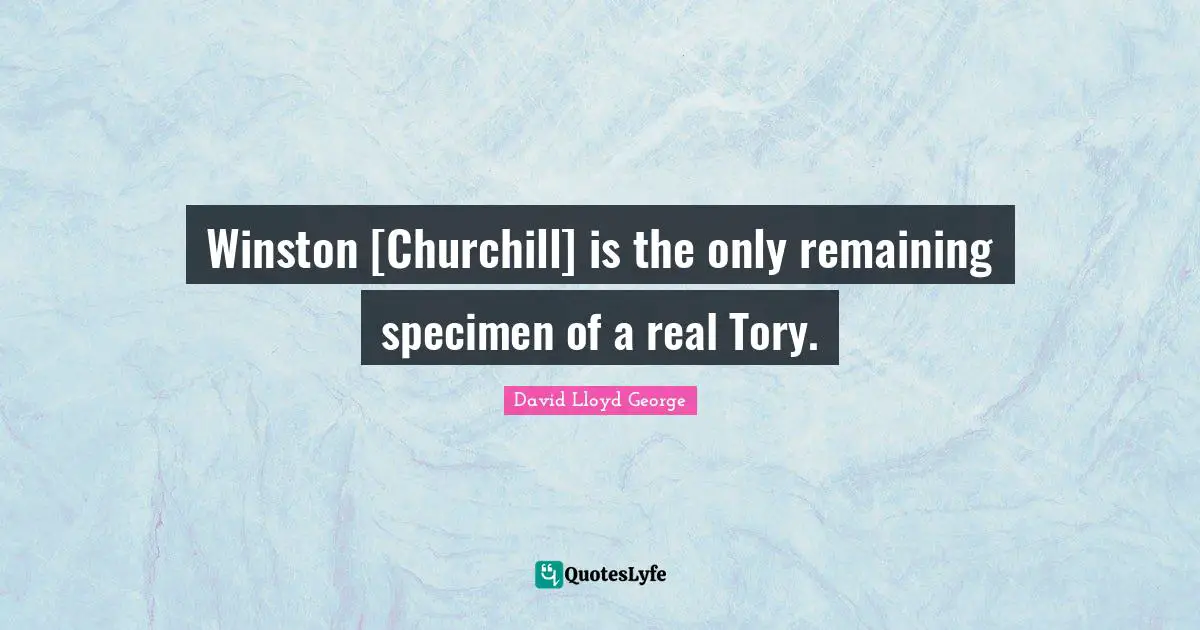 Winston [Churchill] is the only remaining specimen of a real Tory.
