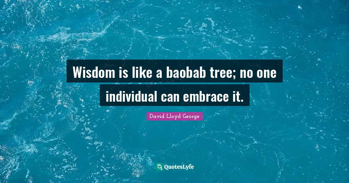 Wisdom is like a baobab tree; no one individual can embrace it.