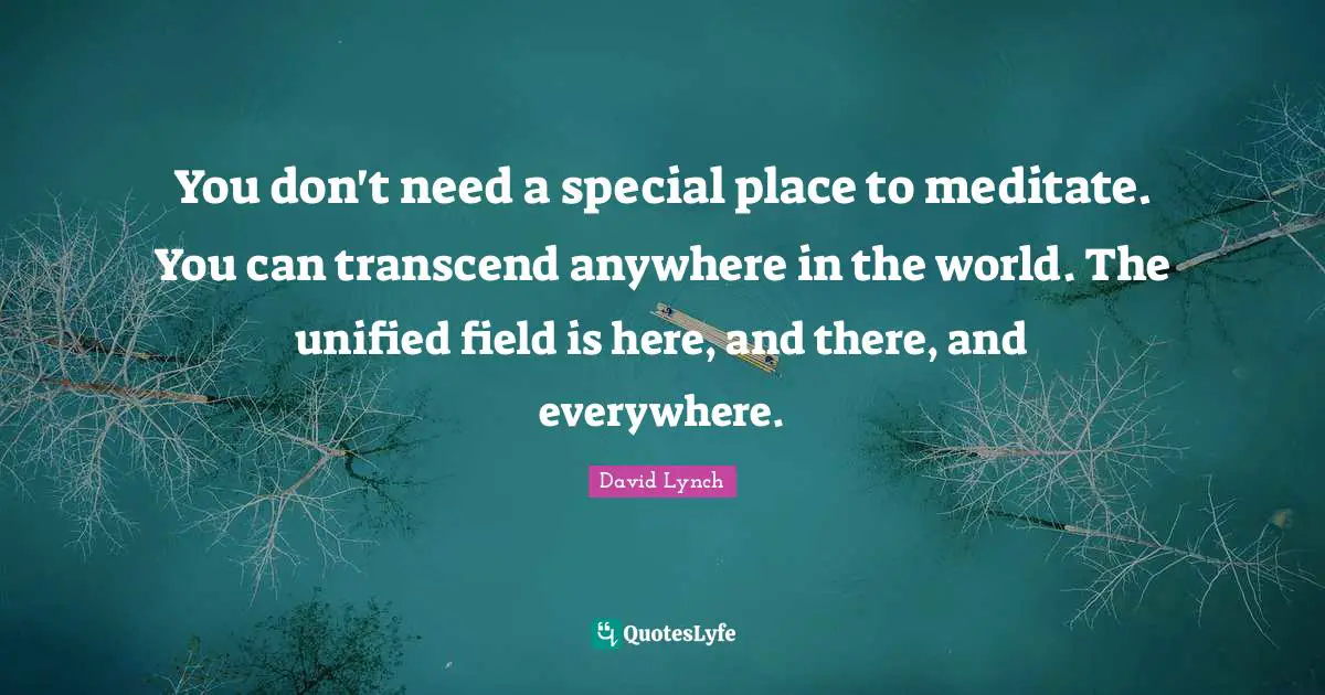 David Lynch Quotes: "You don't need a special place to meditate. You can transcend anywhere in the world. The unified field is here, and there, and everywhere."
