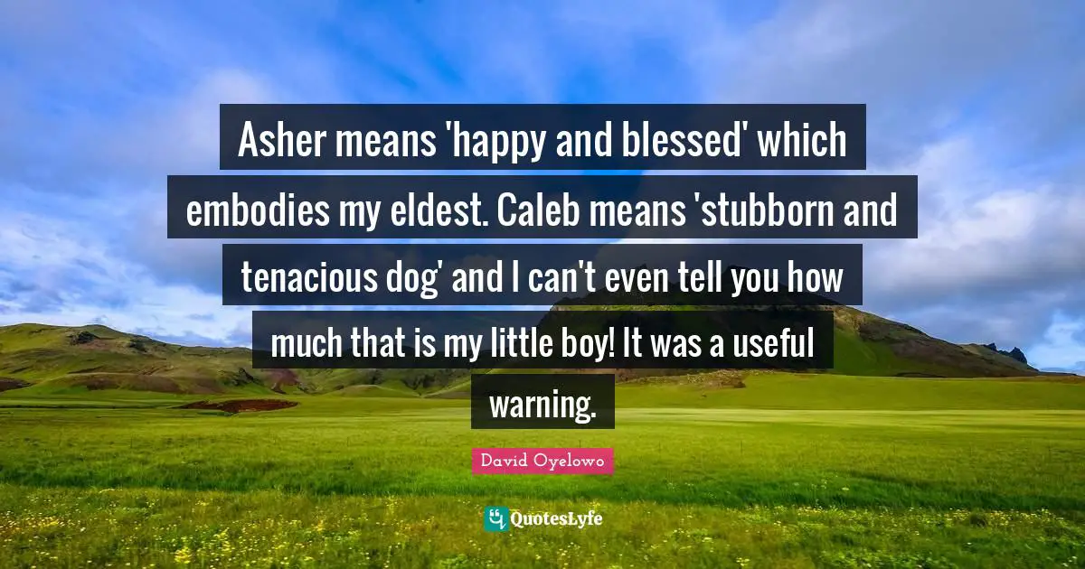 Asher means 'happy and blessed' which embodies my eldest. Caleb means 'stubborn and tenacious dog' and I can't even tell you how much that is my little boy! It was a useful warning.