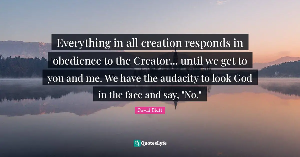 Everything in all creation responds in obedience to the Creator... until we get to you and me. We have the audacity to look God in the face and say, "No."
