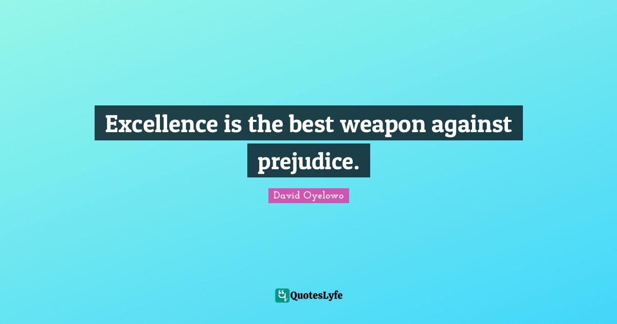 Excellence is the best weapon against prejudice.