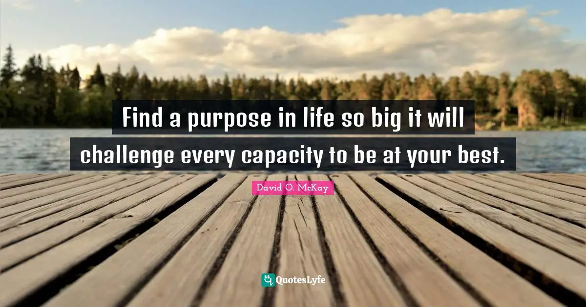 Find a purpose in life so big it will challenge every capacity to be at your best.