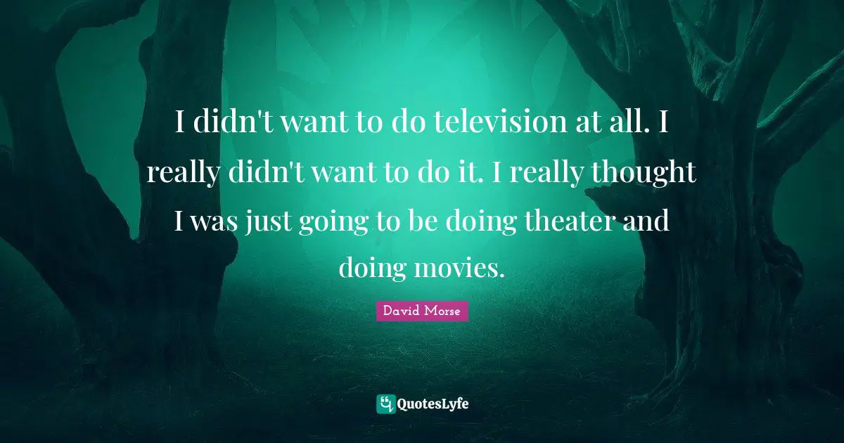 I didn't want to do television at all. I really didn't want to do it. I really thought I was just going to be doing theater and doing movies.