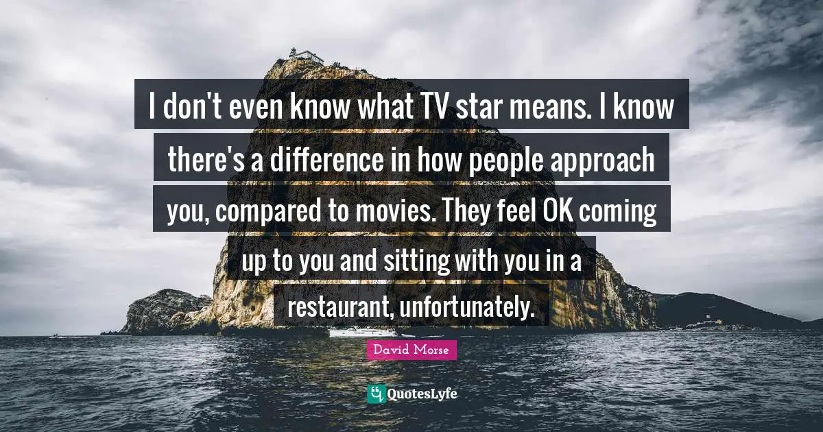 I don't even know what TV star means. I know there's a difference in how people approach you, compared to movies. They feel OK coming up to you and sitting with you in a restaurant, unfortunately.